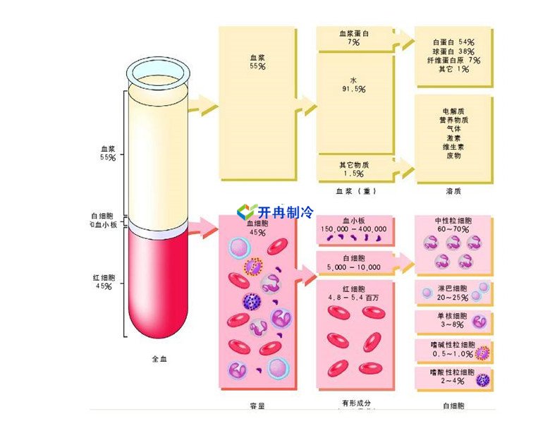 -30℃～-80℃血漿蛋白低溫冷凍庫規(guī)范，冷庫安裝價(jià)格